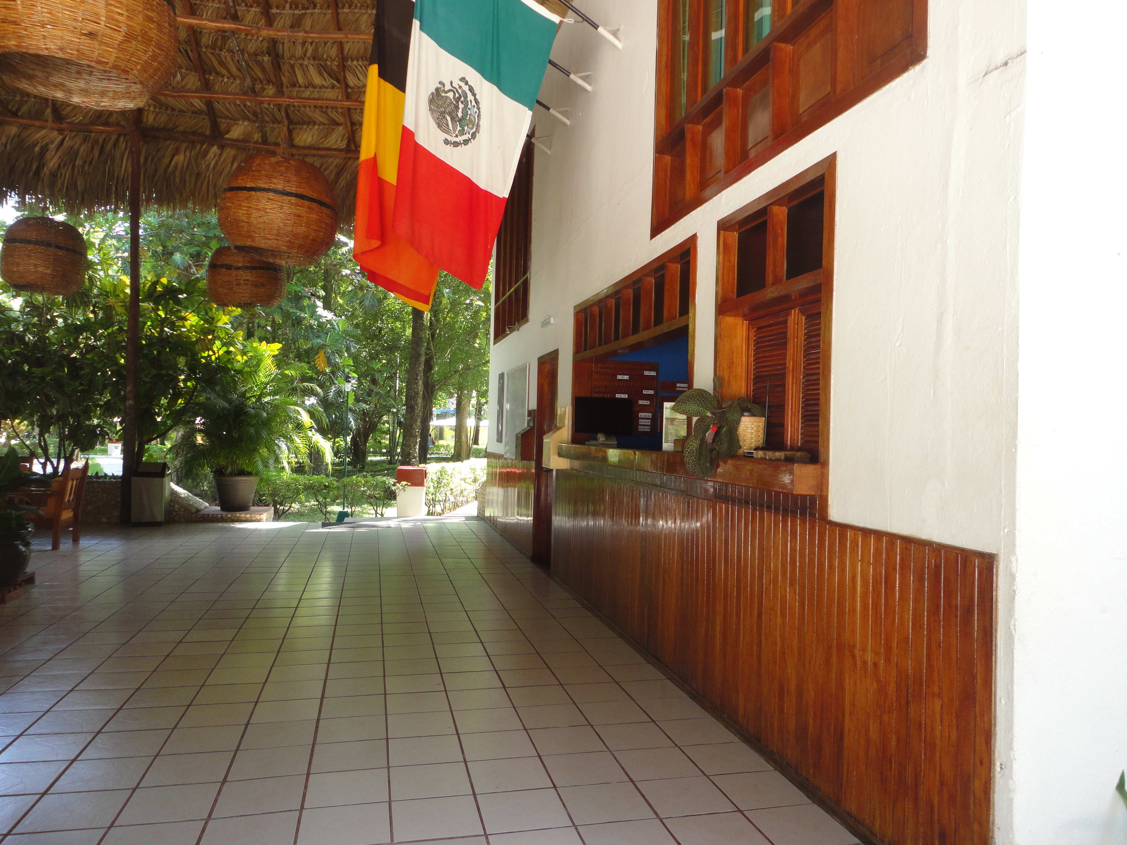 Efecto Chiapas